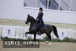 25R13_01899 thumbnail
