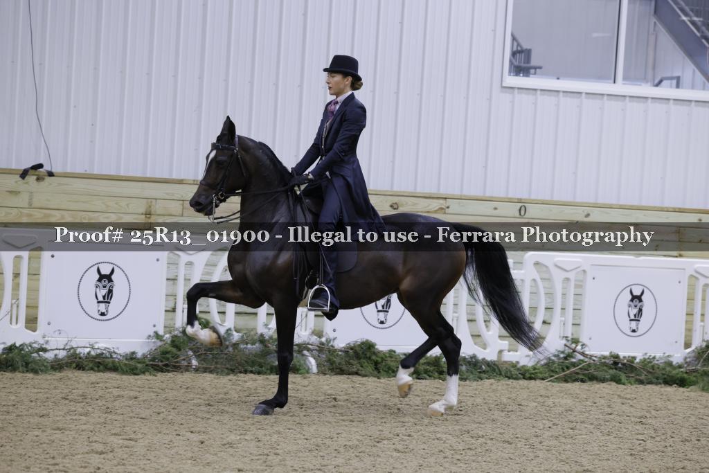 Proof Number 25R13_01900