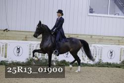 25R13_01900 thumbnail