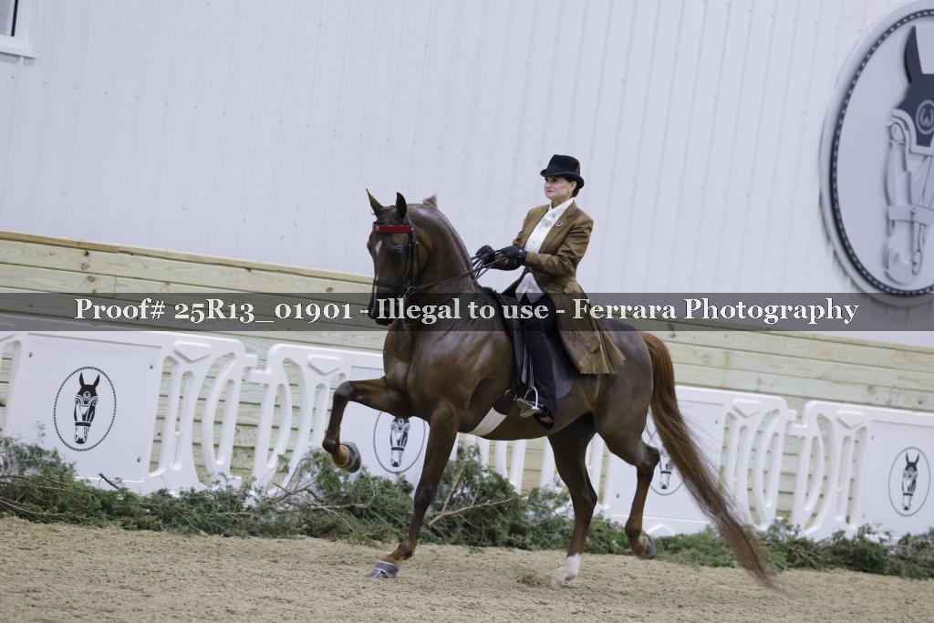 Proof Number 25R13_01901