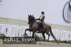 25R13_01901 thumbnail