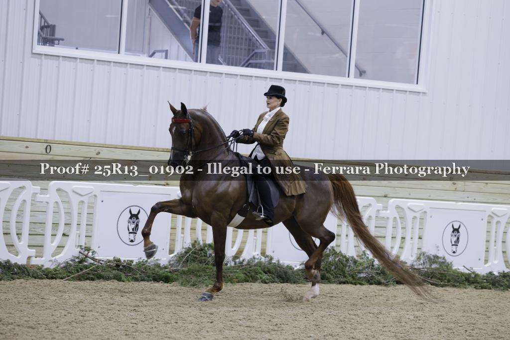Proof Number 25R13_01902
