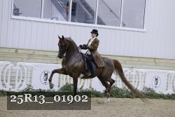 25R13_01902 thumbnail