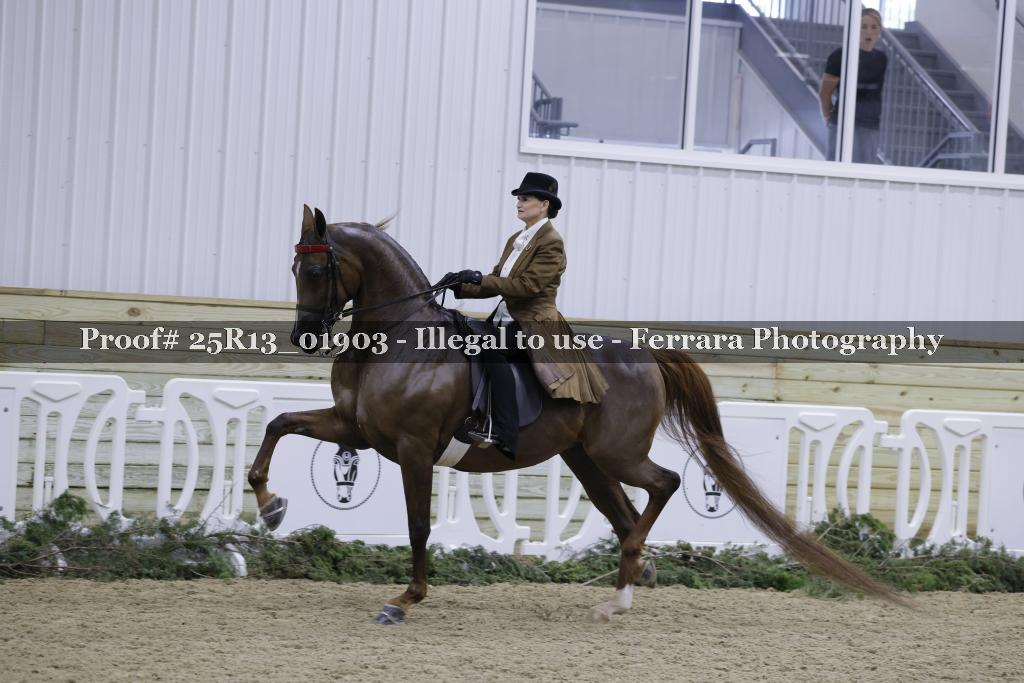 Proof Number 25R13_01903