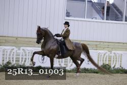 25R13_01903 thumbnail