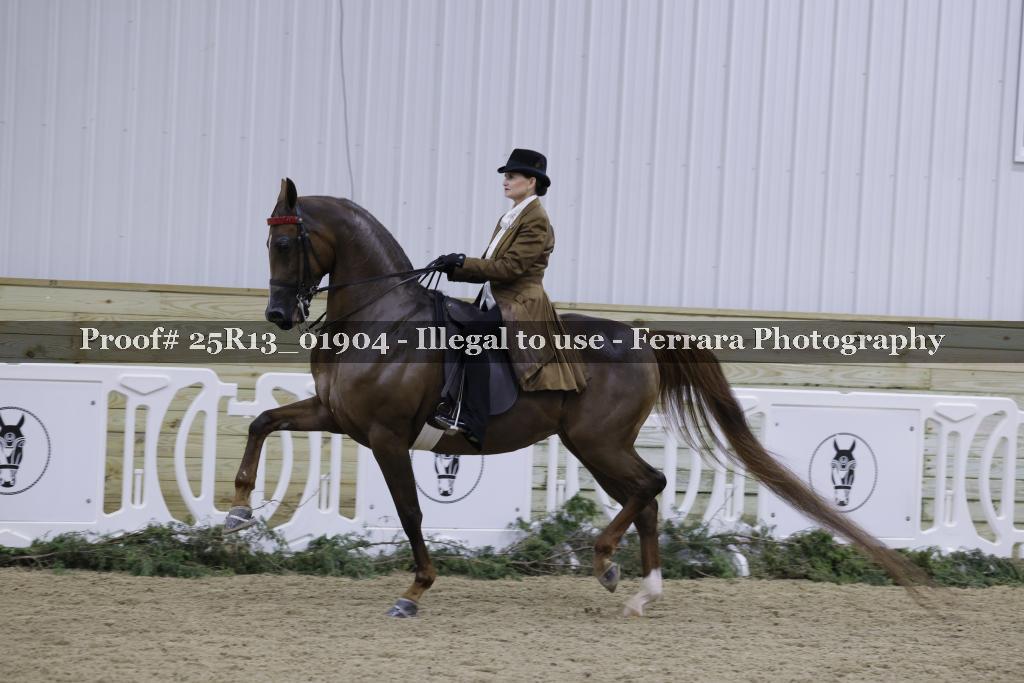Proof Number 25R13_01904