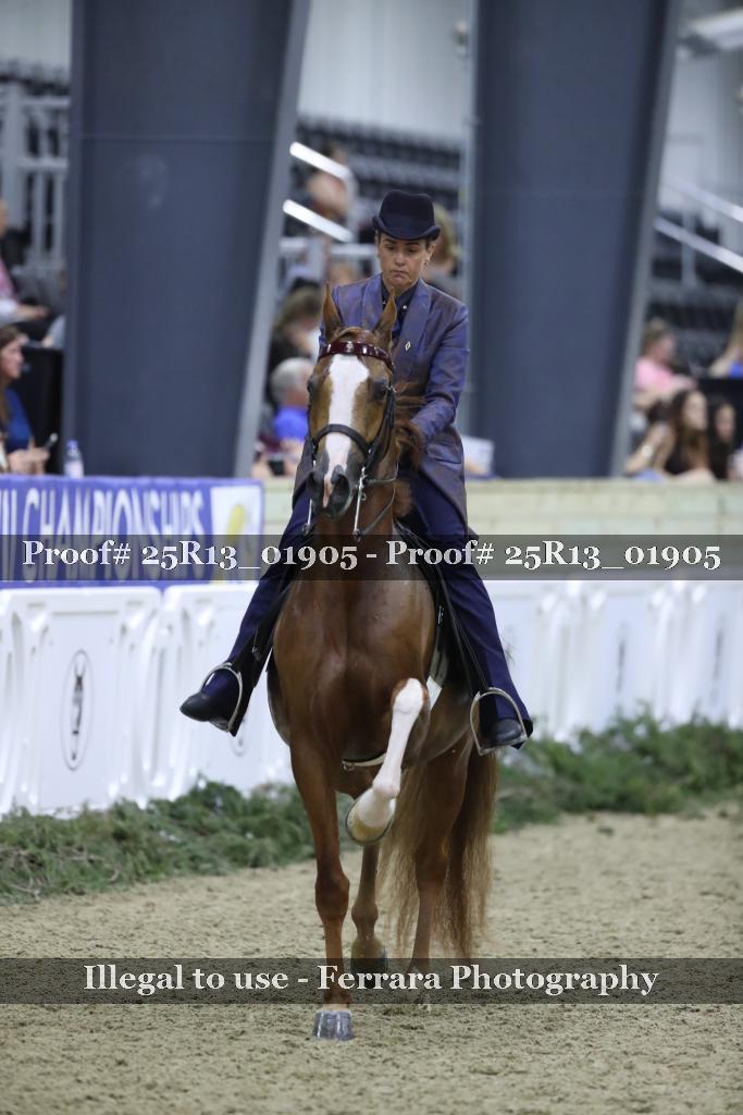 Proof Number 25R13_01905