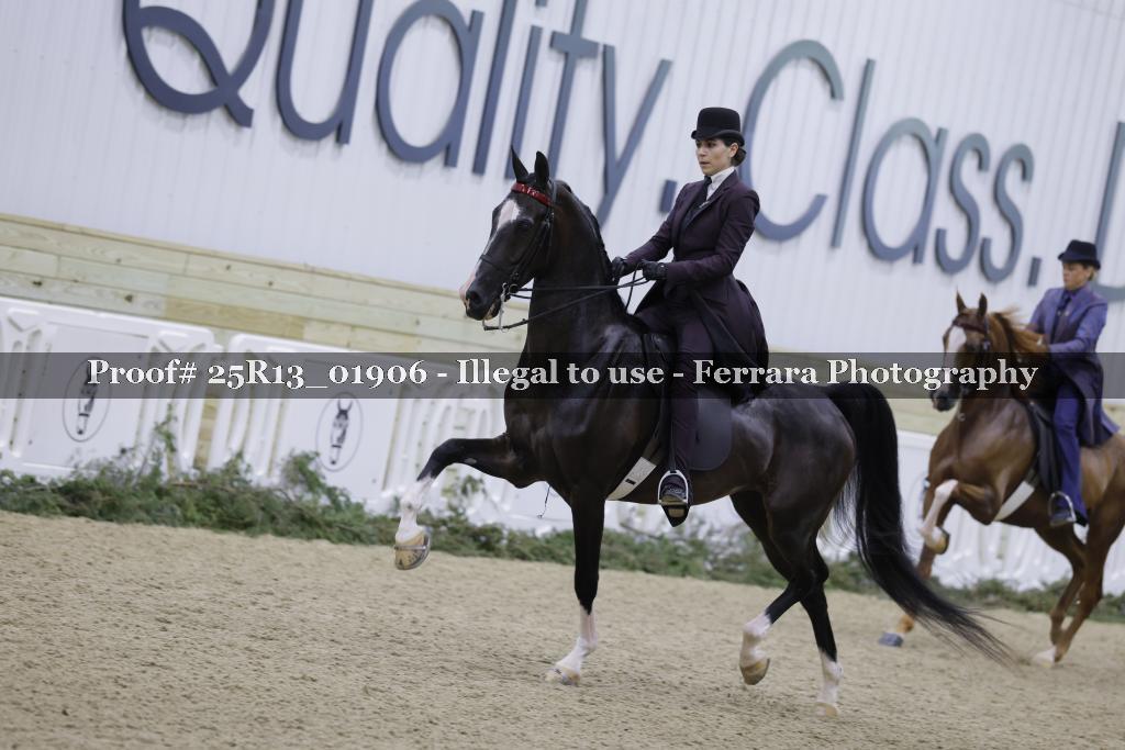 Proof Number 25R13_01906