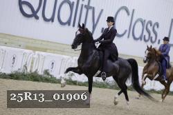25R13_01906 thumbnail