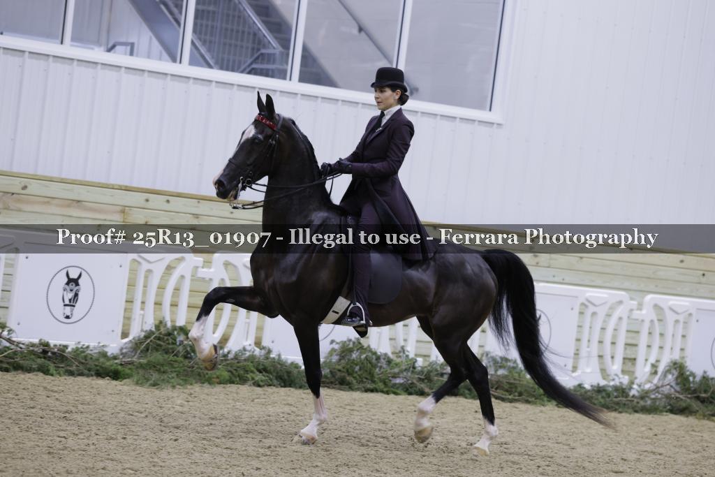 Proof Number 25R13_01907