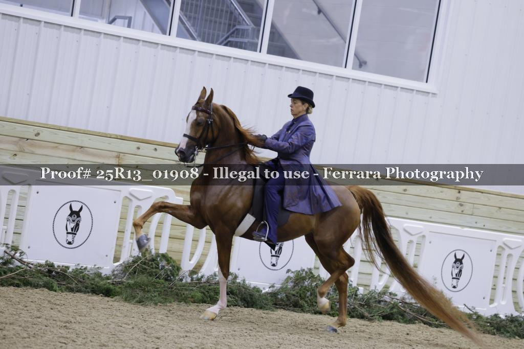 Proof Number 25R13_01908