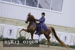 25R13_01908 thumbnail
