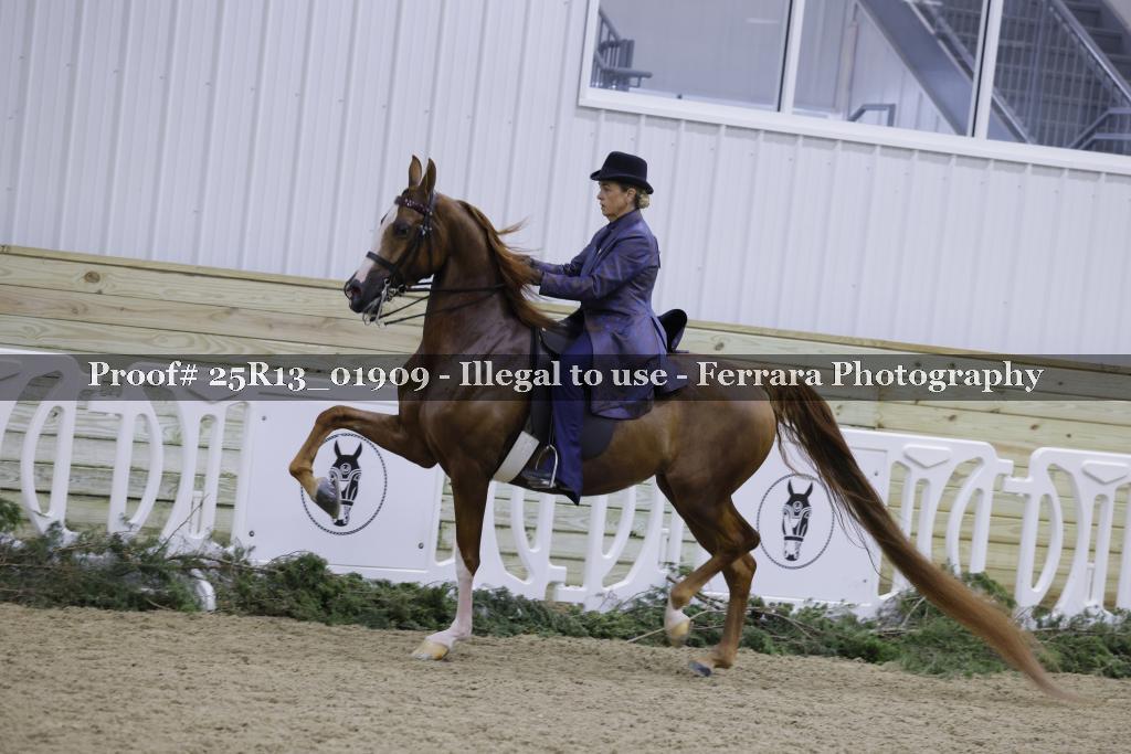 Proof Number 25R13_01909