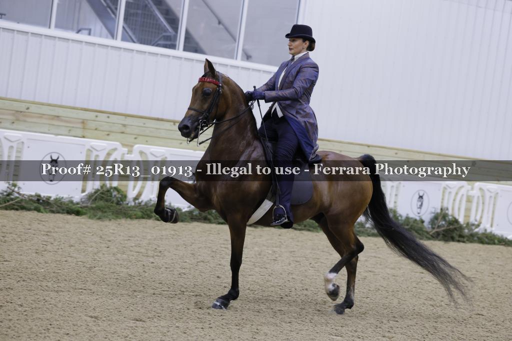 Proof Number 25R13_01913