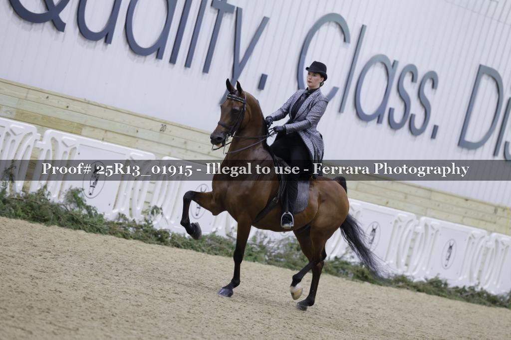 Proof Number 25R13_01915