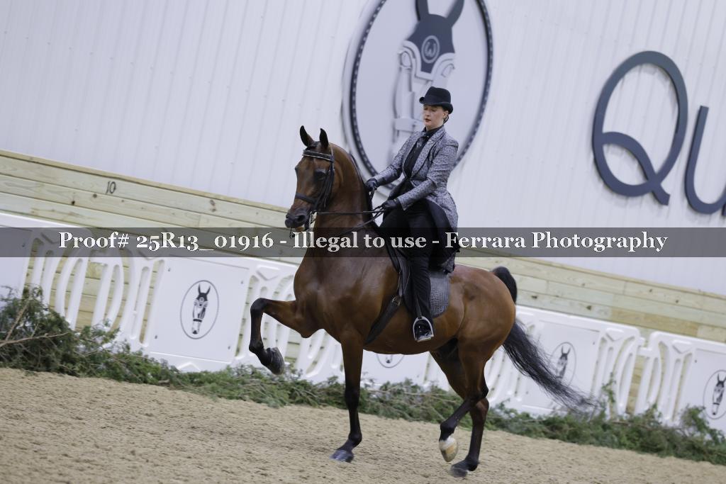 Proof Number 25R13_01916