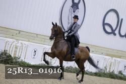 25R13_01916 thumbnail