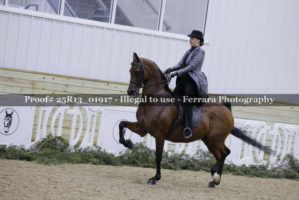 Proof Number 25R13_01917