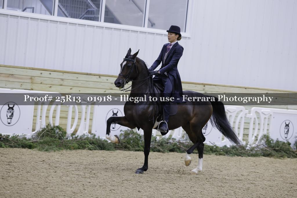 Proof Number 25R13_01918