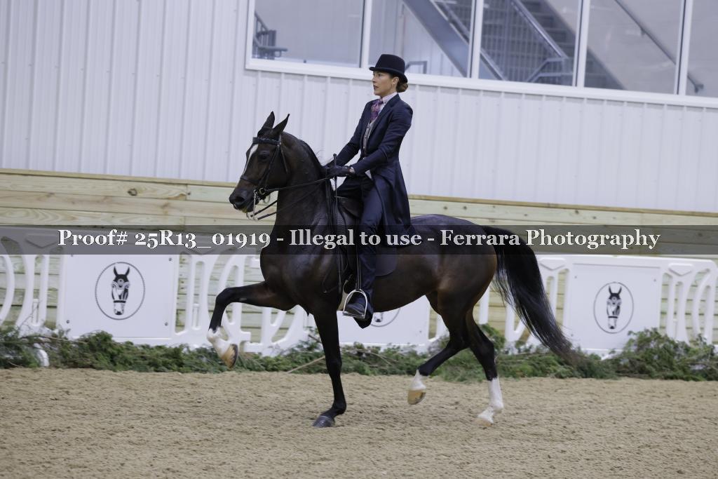 Proof Number 25R13_01919