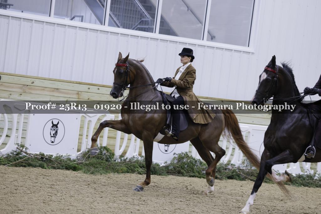 Proof Number 25R13_01920