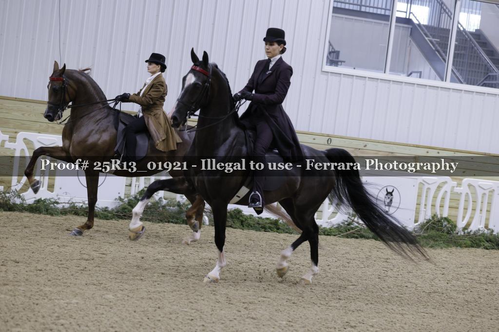 Proof Number 25R13_01921