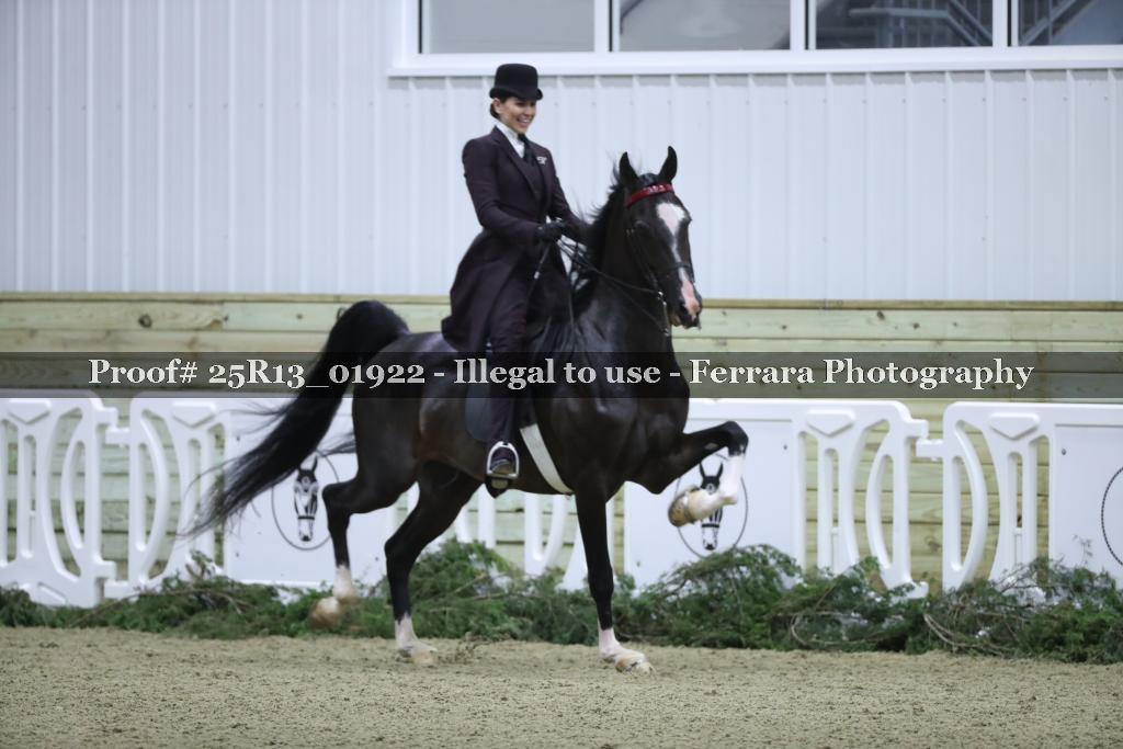 Proof Number 25R13_01922