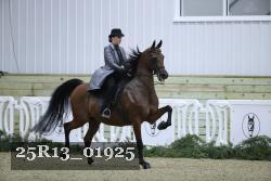 25R13_01925 thumbnail