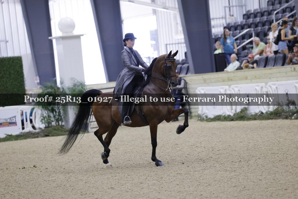 Proof Number 25R13_01927
