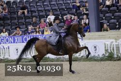 25R13_01930 thumbnail