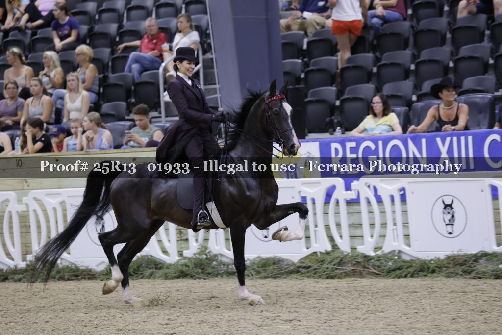 Proof Number 25R13_01933