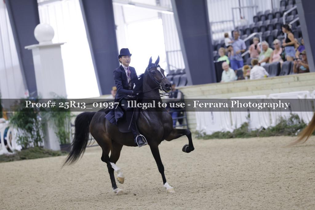 Proof Number 25R13_01937