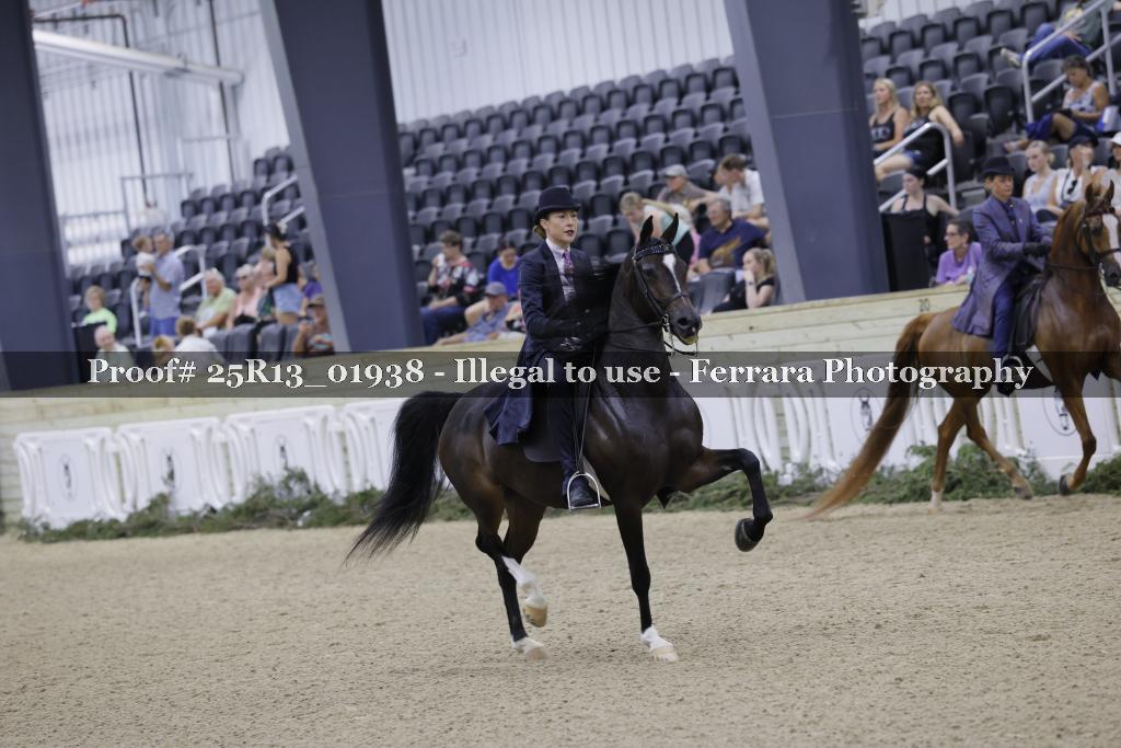 Proof Number 25R13_01938