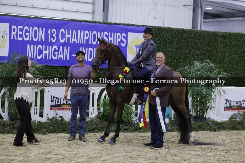 Proof Number 25R13_01950
