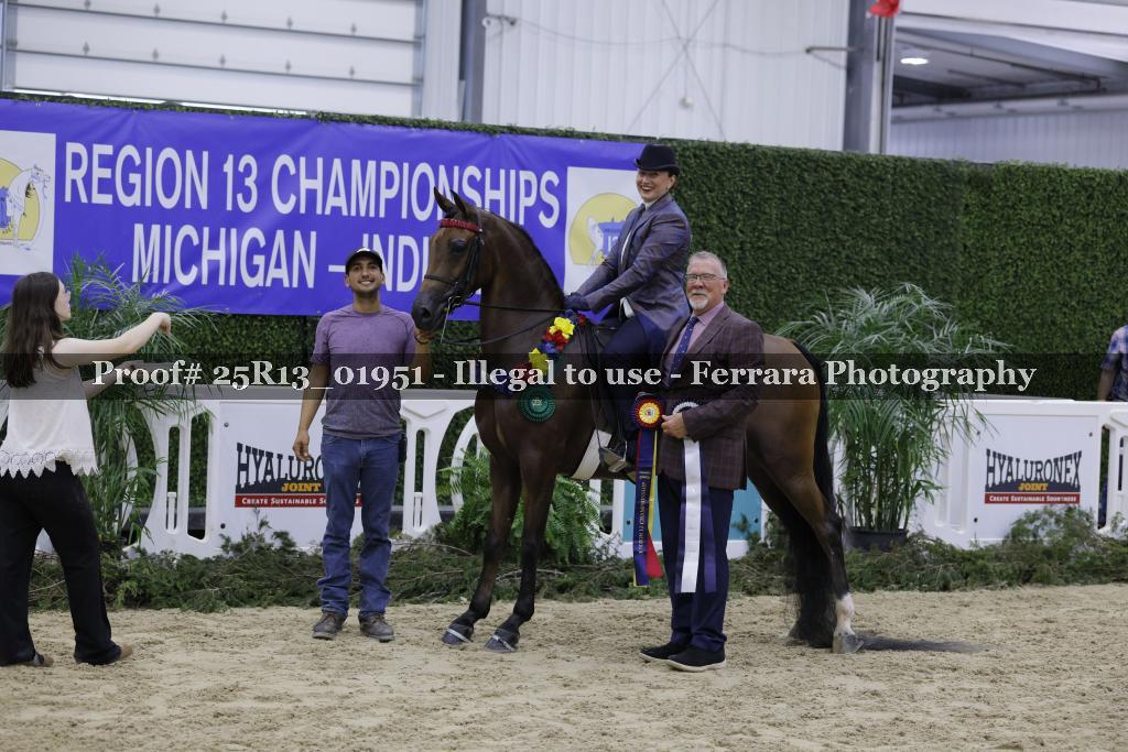 Proof Number 25R13_01951
