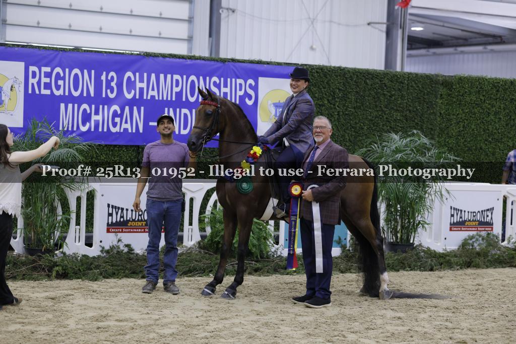 Proof Number 25R13_01952