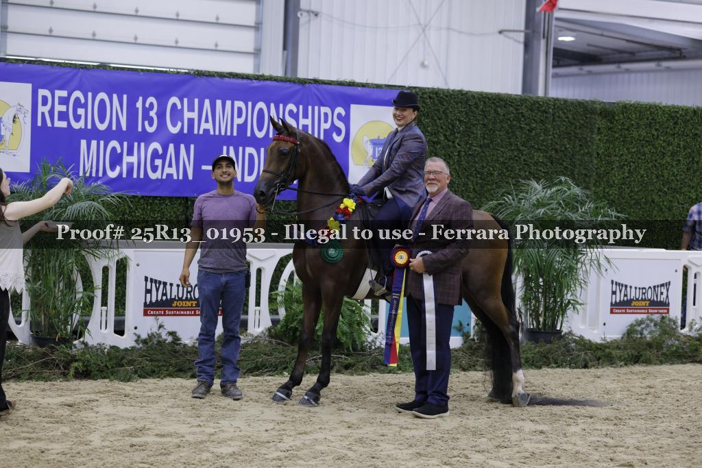 Proof Number 25R13_01953