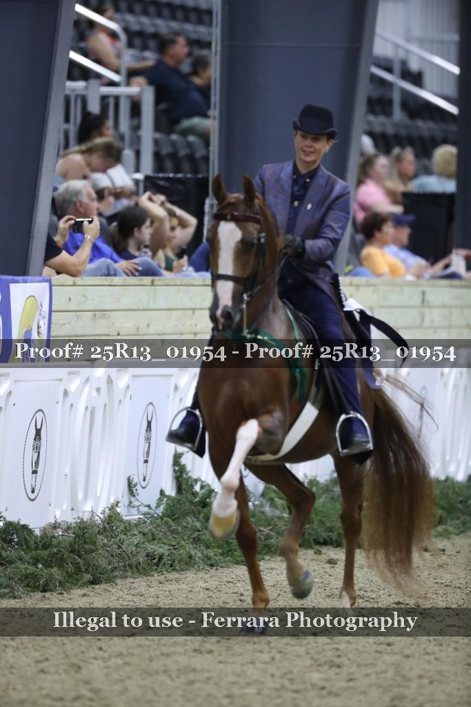Proof Number 25R13_01954