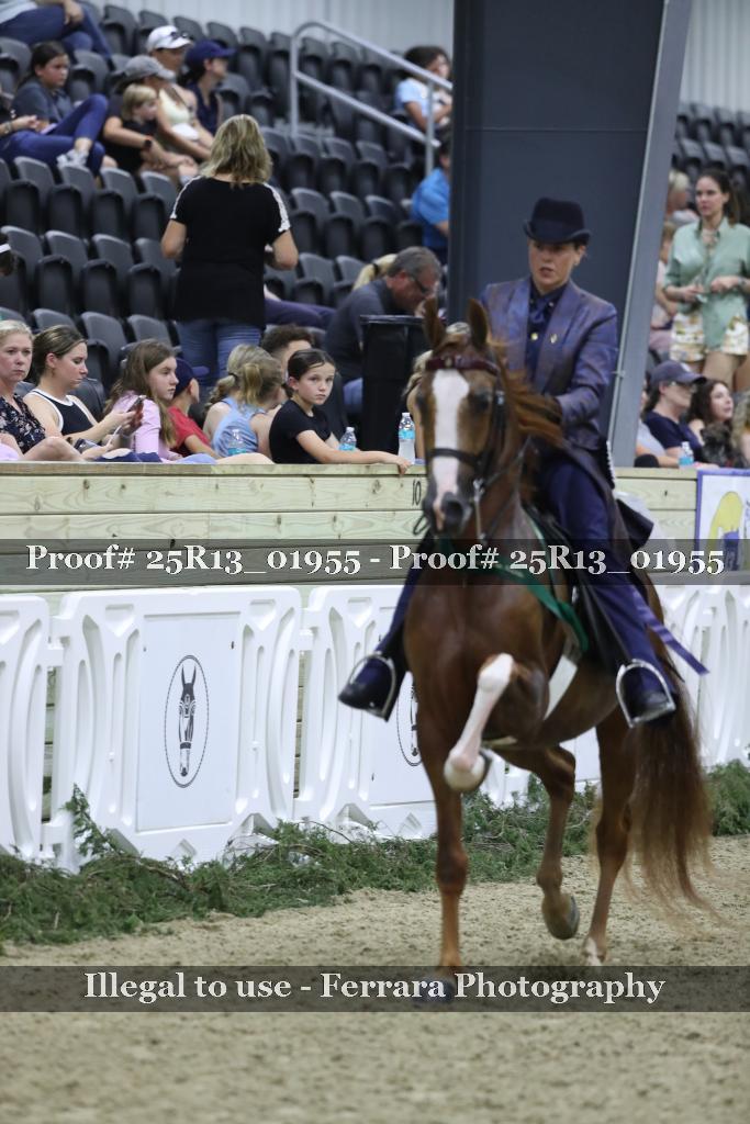 Proof Number 25R13_01955