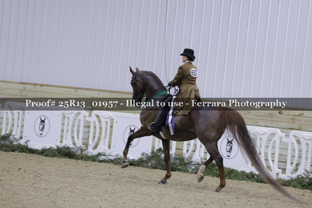 Proof Number 25R13_01957
