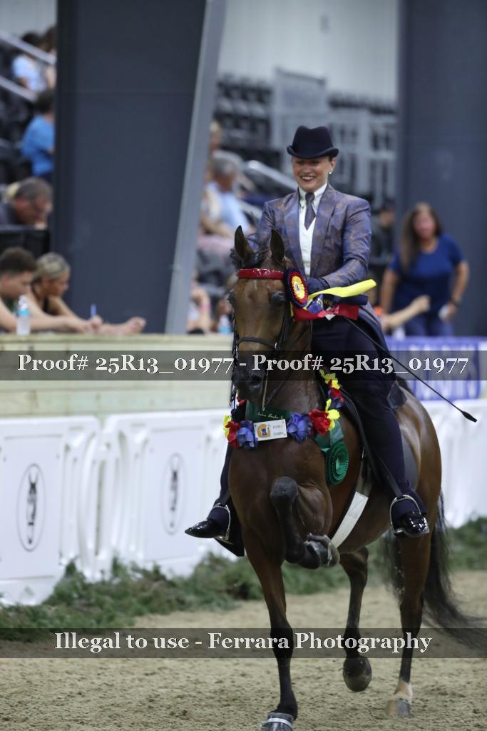 Proof Number 25R13_01977