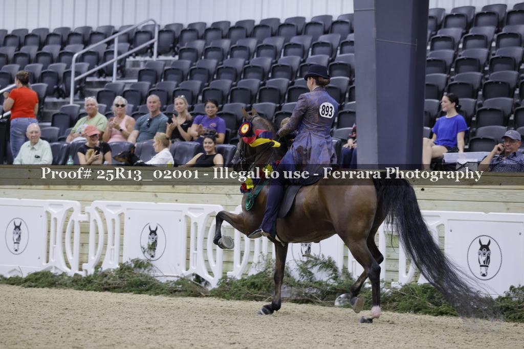 Proof Number 25R13_02001