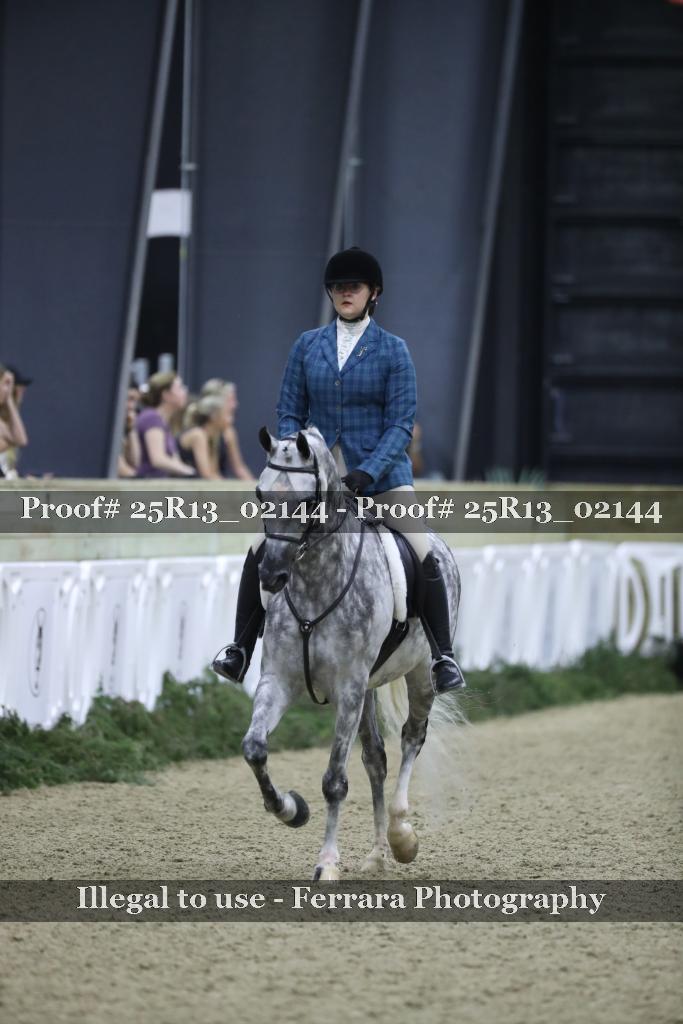 Proof Number 25R13_02144