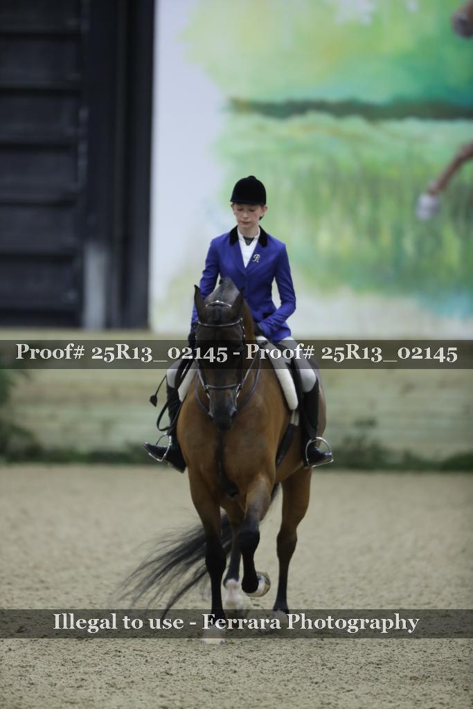 Proof Number 25R13_02145