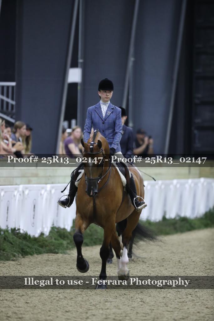 Proof Number 25R13_02147