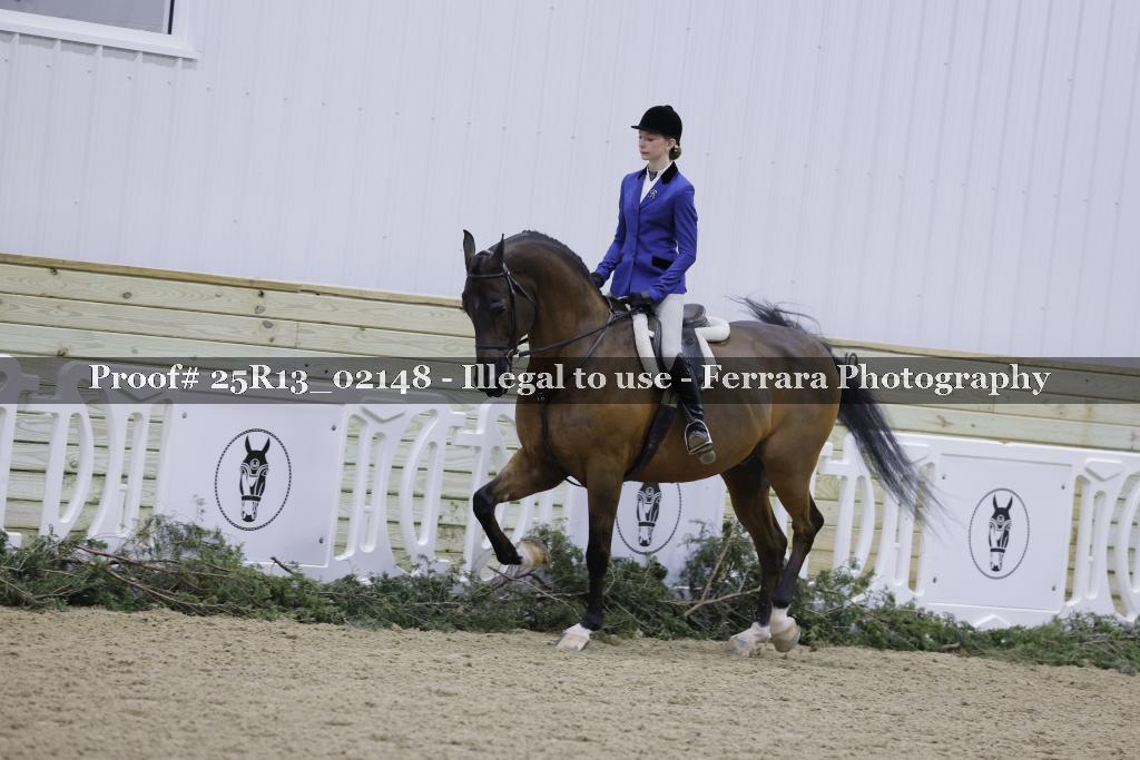 Proof Number 25R13_02148