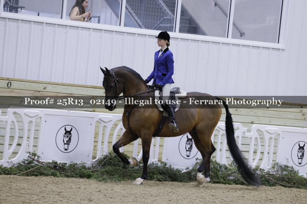 Proof Number 25R13_02149
