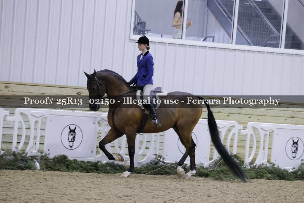 Proof Number 25R13_02150