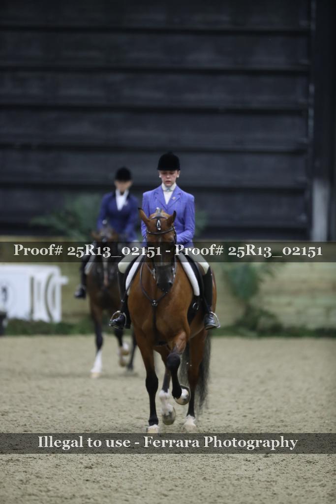 Proof Number 25R13_02151