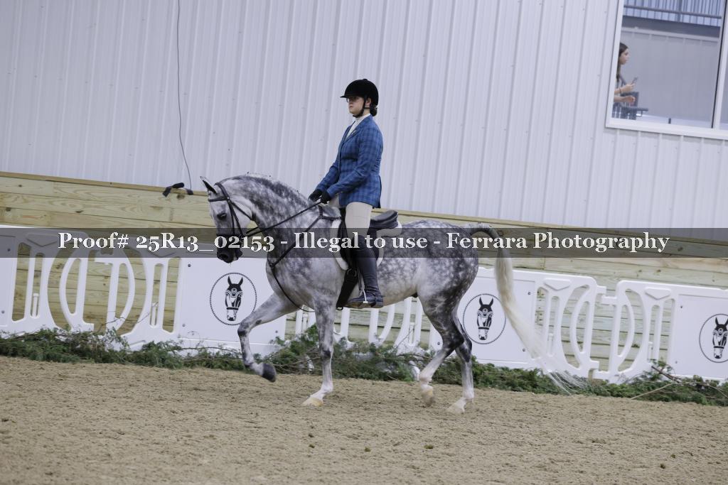 Proof Number 25R13_02153